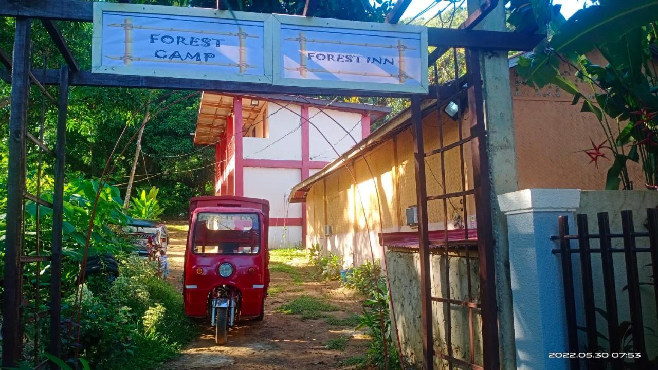 Forest Inn El Nido Esterno foto